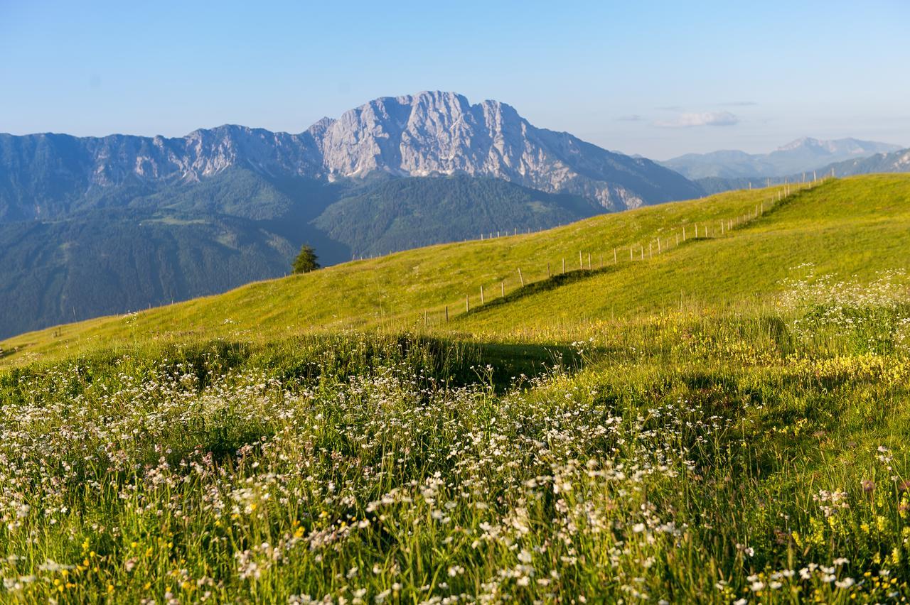 Sattleggers Alpenhof&feriensternwarte 3* Greifenburg