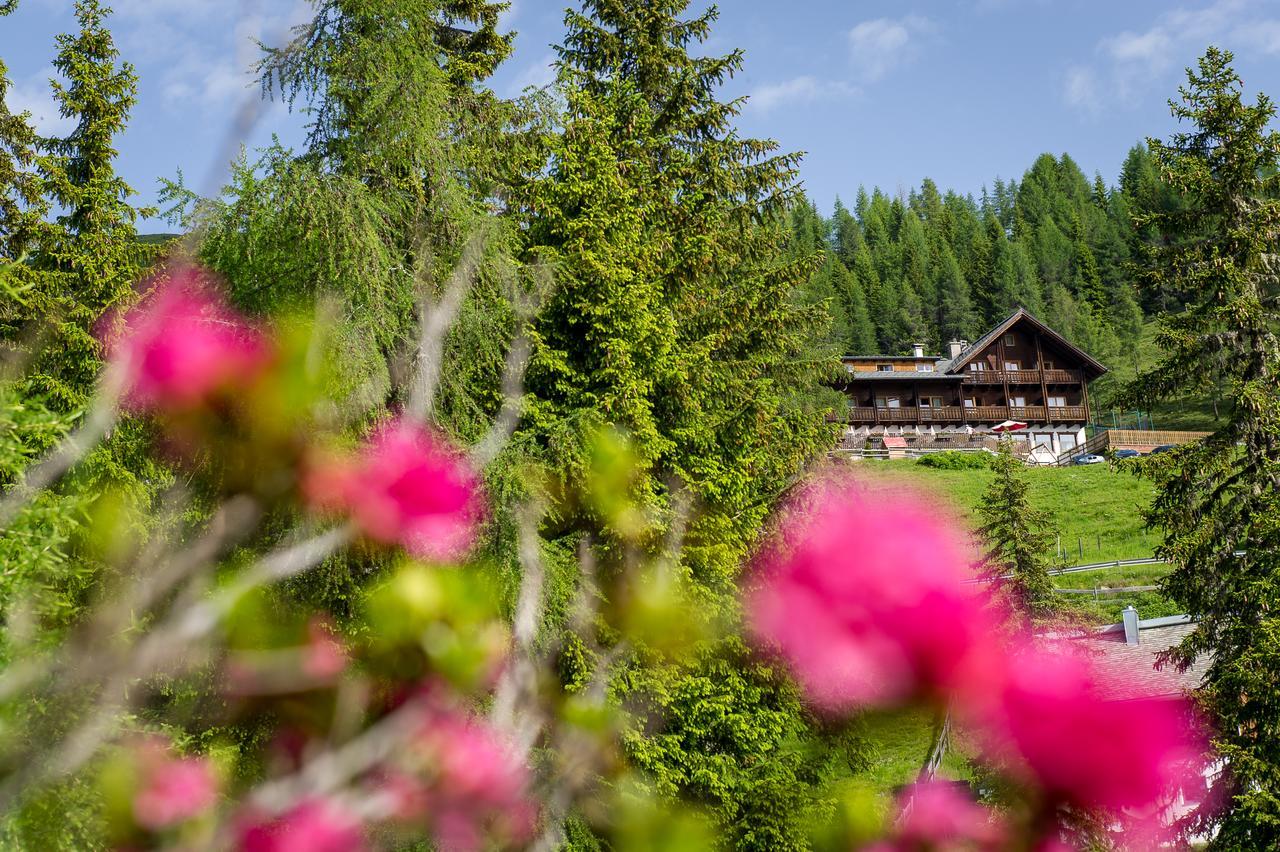 Sattleggers Alpenhof&feriensternwarte Greifenburg